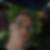Profilbild von Sebastian Fiedler