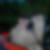 Profilbild von Thomas Sydow