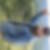 Profilbild von Friedrich Welke