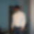 Profilbild von Daniel Mc Cann