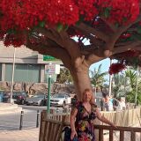 Profilfoto von Katja Otto