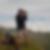Profilbild von Claus-Peter Lorenzen