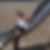Profilbild von Heidi Kossack