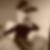 Profilbild von Marc Mieth