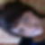 Profilbild von Nicole Kenntner