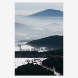 Profilfoto von Samantha Frevele