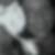 Profilbild von Ulrike Mayer