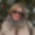 Profilbild von Carola Schermuly