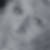 Profilbild von Elke Ritter