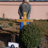 Profilfoto von Samantha-Marie Drexler