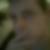Profilbild von Patrick Schmenger
