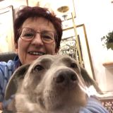 Profilfoto Christiane Pfingsten Profilfoto von Christiane Pfingsten