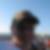 Profilbild von Dominik Brach