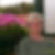 Profilbild von Inge Peters