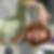Profilbild von Janina Jaclin