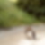 Profilbild von Rene´ Donath