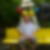 Profilbild von Olaf Lierse