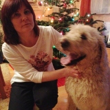 Profilfoto von Anke Rösch