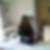 Profilbild von Birgit Schuster