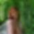 Profilbild von Elke Lehmann