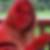 Profilbild von Regine Plettke