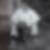 Profilbild von Peter Stock