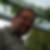 Profilbild von Mike Wilke