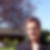Profilbild von Gabriele Bray