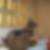 Profilbild von Marcus Stingl