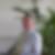 Profilbild von Kai-Uwe Schmidt