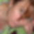 Profilbild von Anja Falkenberg