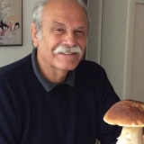 Profilfoto Siegfried Töpfer Profilfoto von Siegfried Töpfer