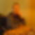 Profilbild von Wolfgang Reinhard