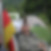 Profilbild von Thomas Wenzl