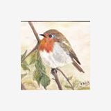 Profilfoto von Joanna Duellick