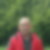 Profilbild von Werner Schlesiger