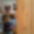 Profilbild von Nick Scholten