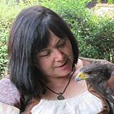 Profilfoto von Marion Dollmann