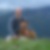 Profilbild von Dirk Bernau