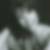 Profilbild von Sylvia Berner