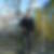 Profilbild von Andre Willer