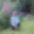 Profilbild von Wenke Figul