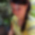 Profilbild von Tina Krammer geb. Walde