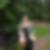 Profilbild von Silke Paradies