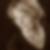 Profilbild von Jana Ewerlin