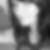 Profilbild von Frances Hoppen