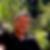 Profilbild von Fred Schneider