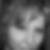 Profilbild von Elvira Gladkova