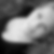 Profilbild von Ines Peters