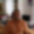 Profilbild von Michael Doll